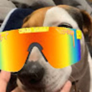 Meet your Posher, Diego